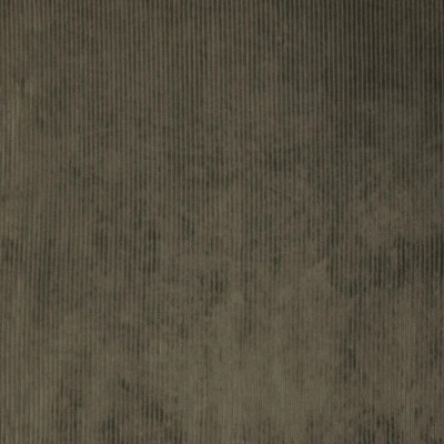 Tela Punto de Pana ancha - Verde Oliva