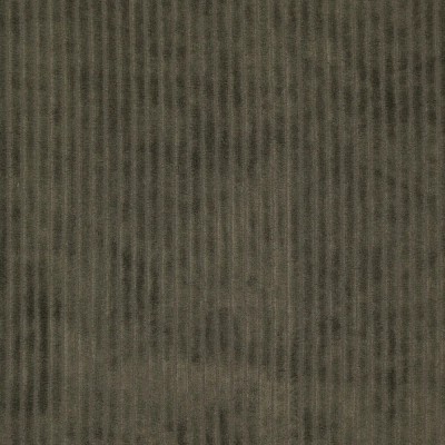 Tela Punto de Pana ancha - Verde Oliva