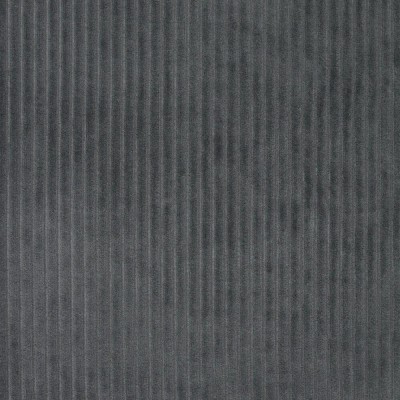 Tela Punto de Pana ancha - Gris